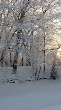 Ladda ner Landscape, Winter, Trees, Snow bilden 540x960 till mobilen.