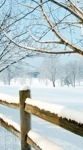 Ladda ner Trees, Landscape, Snow, Winter bilden till mobilen.