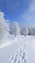 Ladda ner Trees, Landscape, Snow, Winter bilden till mobilen.