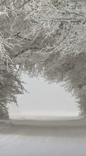Ladda ner Trees,Landscape,Snow,Winter bilden till mobilen.