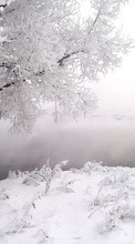 Ladda ner Landscape, Winter, Trees, Snow bilden 320x480 till mobilen.
