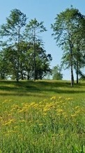 Ladda ner Landscape, Trees, Grass bilden 1280x800 till mobilen.