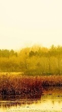 Ladda ner Landscape, Water, Trees, Grass bilden 1080x1920 till mobilen.