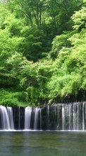 Ladda ner Trees, Nature, Water, Waterfalls bilden till mobilen.