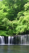 Ladda ner Landscape, Water, Trees, Waterfalls bilden 1080x1920 till mobilen.