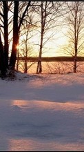 Ladda ner Landscape, Winter, Trees, Sunset bilden 1024x600 till mobilen.