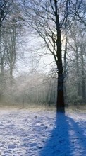 Ladda ner Landscape, Winter, Trees bilden 1280x800 till mobilen.