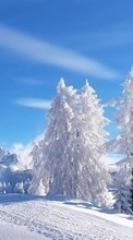 Ladda ner Landscape, Winter, Trees bilden 360x640 till mobilen.