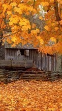 Ladda ner Landscape, Houses, Autumn, Leaves bilden till mobilen.