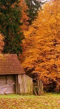 Ladda ner Houses,Autumn,Landscape bilden till mobilen.