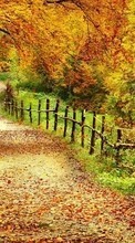 Roads, Leaves, Autumn, Nature till Samsung D900