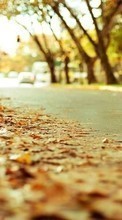 Ladda ner Roads, Leaves, Autumn, Landscape bilden till mobilen.
