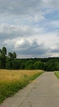 Ladda ner Landscape, Grass, Sky, Roads bilden 320x240 till mobilen.
