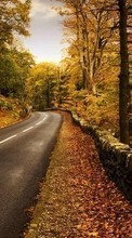 Ladda ner Roads,Autumn,Landscape bilden till mobilen.