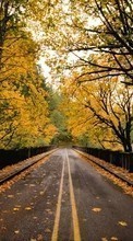 Roads,Autumn,Landscape till OnePlus 8 Pro
