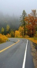 Ladda ner Roads,Autumn,Landscape bilden till mobilen.
