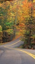Ladda ner Landscape, Roads, Autumn bilden 240x400 till mobilen.