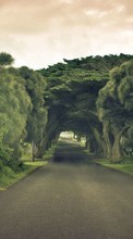Roads,Landscape till Sony Xperia C5 Ultra