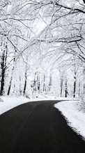 Ladda ner Roads, Nature, Winter bilden till mobilen.