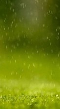 Rain, Background, Grass till Samsung S8003