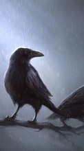 Ladda ner Animals, Birds, Rain, Drawings, Crows bilden 320x480 till mobilen.
