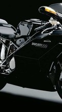 Ladda ner Transport, Motorcycles, Ducati bilden 1024x600 till mobilen.