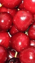 Ladda ner Food, Sweet cherry, Background, Fruits bilden 1024x768 till mobilen.