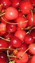Ladda ner Fruits, Sweet cherry, Food, Backgrounds, Berries bilden 240x400 till mobilen.