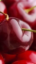 Food, Sweet cherry, Background, Fruits till HTC Desire 626