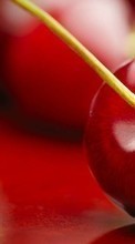 Food, Sweet cherry, Background, Fruits