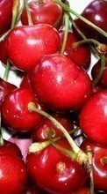 Ladda ner Fruits, Sweet cherry, Food, Berries bilden till mobilen.