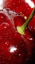 Ladda ner Food, Sweet cherry, Berries bilden 1024x768 till mobilen.