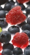 Ladda ner Food, Bilberries, Background, Fruits, Berries, Raspberry bilden till mobilen.