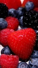 Ladda ner Fruits, Food, Strawberry, Bilberries, Berries bilden 128x160 till mobilen.