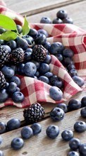 Ladda ner Food,Bilberries,Berries,Plants,Blackberry bilden till mobilen.