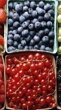 Ladda ner Fruits, Food, Backgrounds, Berries bilden 1080x1920 till mobilen.