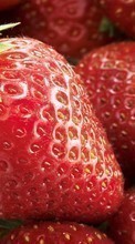 Food, Background, Fruits, Strawberry till Acer Liquid E3