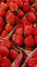 Ladda ner Fruits, Food, Strawberry, Backgrounds bilden 128x160 till mobilen.