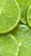 Ladda ner Fruits, Food, Backgrounds, Lime bilden 1280x800 till mobilen.