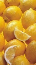 Ladda ner Fruits, Food, Backgrounds, Lemons bilden 320x240 till mobilen.