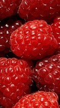 Ladda ner Food, Backgrounds, Raspberry, Berries bilden 320x480 till mobilen.