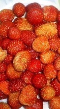 Ladda ner Fruits, Food, Strawberry, Berries bilden till mobilen.