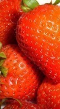 Ladda ner Fruits, Food, Strawberry, Berries bilden 320x480 till mobilen.