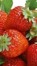 Ladda ner Fruits, Food, Strawberry, Berries bilden 320x480 till mobilen.