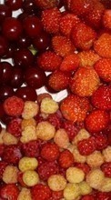 Ladda ner Fruits, Food, Strawberry, Cherry, Raspberry, Berries bilden 240x320 till mobilen.