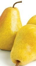 Ladda ner Fruits, Food, Pears bilden 240x400 till mobilen.