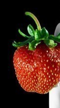 Ladda ner Fruits, Food, Strawberry, Berries bilden 240x400 till mobilen.