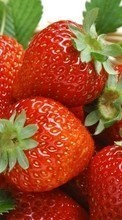Food, Fruits, Strawberry till Samsung Galaxy Ace 2