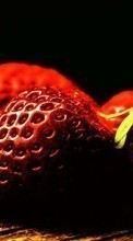 Ladda ner Plants, Fruits, Food, Strawberry, Berries bilden 320x240 till mobilen.