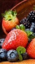 Ladda ner Food, Fruits, Strawberry, Blackberry bilden till mobilen.